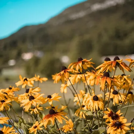 Nonno Carlo Bed & Breakfast 4*