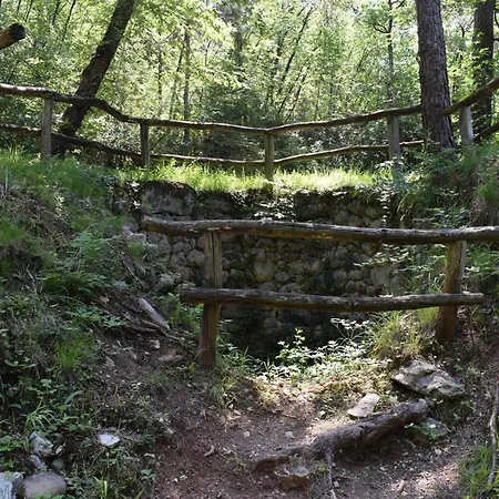 Nonno Carlo Bed & Breakfast