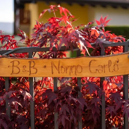Nonno Carlo