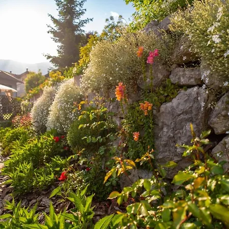 Nonno Carlo Bed & Breakfast Trento