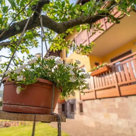 Bed & Breakfast Nonno Carlo Trento