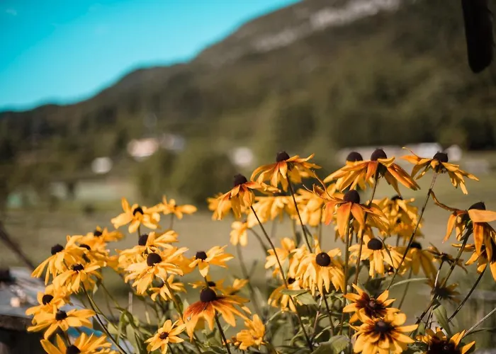 Nonno Carlo Couette-café 4*