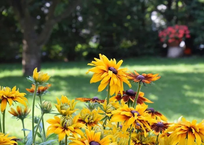 Nonno Carlo 4* Trente