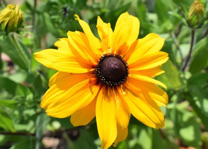 Couette-café Nonno Carlo