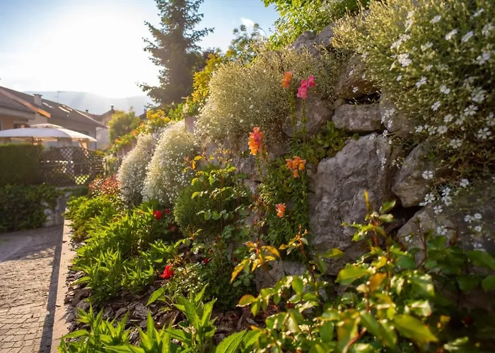 Nonno Carlo Couette-café Trente